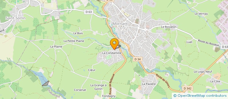 localisation de l'entreprise MONSIEUR LEON GOUTTENOIRE  MORNANT