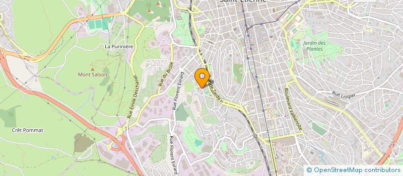 localisation de l'entreprise MONSIEUR LEON MARSOT  SAINT-ETIENNE