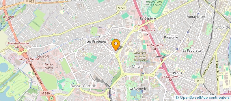 localisation de l'entreprise MONSIEUR LEON NZUZI MATUSANDA  TOULOUSE