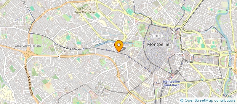 localisation de l'entreprise MONSIEUR LEON PIERRE à MONTPELLIER