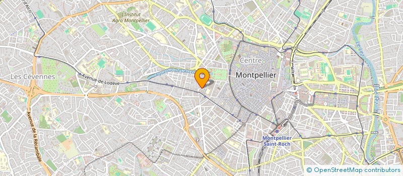 localisation de l'entreprise MONSIEUR LEON RAMOS SELEME à MONTPELLIER