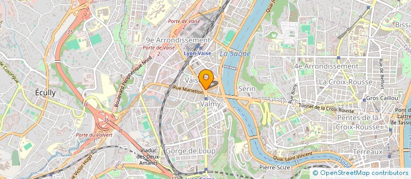 localisation de l'entreprise MONSIEUR LEON SAADOUN à LYON 9EME