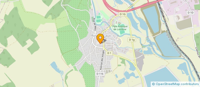 localisation de l'entreprise MONSIEUR LEON THIERY  ROSIERES-AUX-SALINES