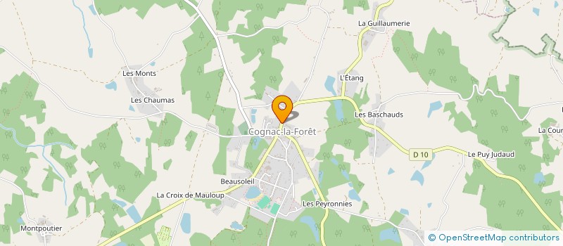 localisation de l'entreprise MONSIEUR LEONARD BOULESTEIX  COGNAC-LA-FORET