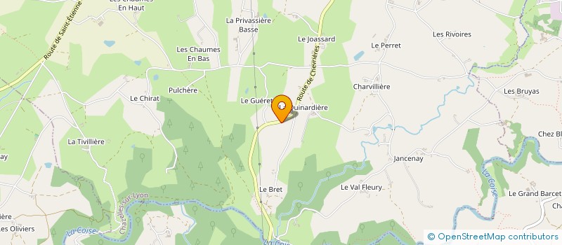 localisation de l'entreprise MONSIEUR LEONARD DEMILLIERE  CHAZELLES-SUR-LYON