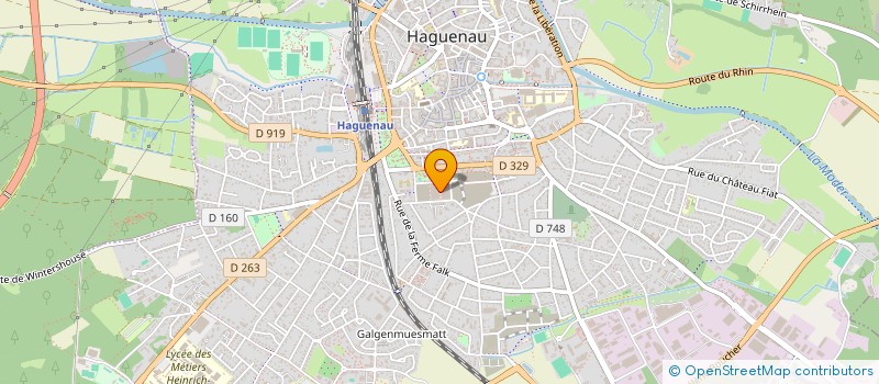 localisation de l'entreprise MONSIEUR LEONARD SCHMITZ  HAGUENAU