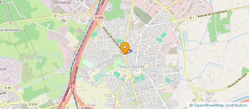 localisation de l'entreprise MONSIEUR LEONARDO SCOLNICK  PERPIGNAN