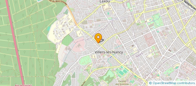 localisation de l'entreprise MONSIEUR LEONARDO SELIMI  VILLERS-LES-NANCY