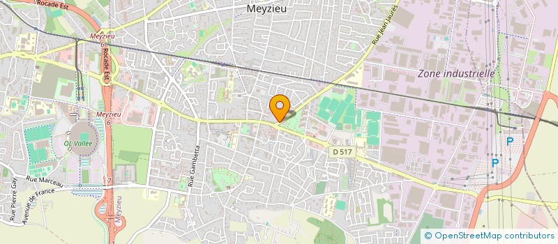 localisation de l'entreprise MONSIEUR LEONARDO TRIPODI  MEYZIEU