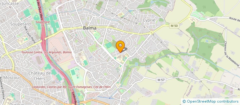 localisation de l'entreprise MONSIEUR LEONCE BENEDEYT  BALMA