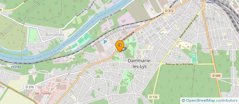 localisation de l'entreprise MONSIEUR LEONEL FERNANDES à DAMMARIE-LES-LYS