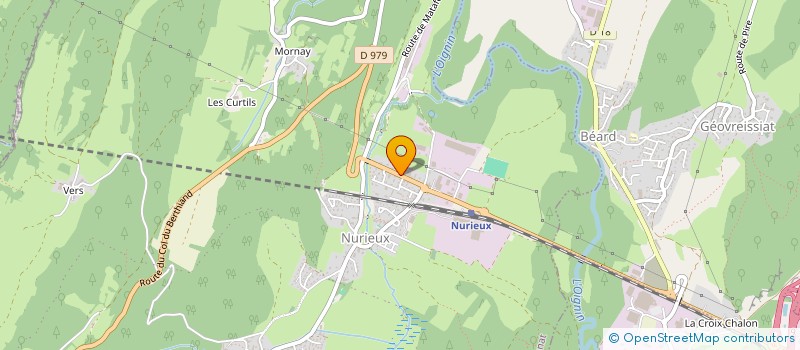 localisation de l'entreprise MONSIEUR LEONEL LOPES TAVARES  NURIEUX-VOLOGNAT