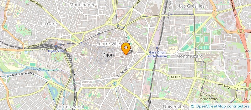 localisation de l'entreprise MONSIEUR LEOPOLD DUPUY  DIJON