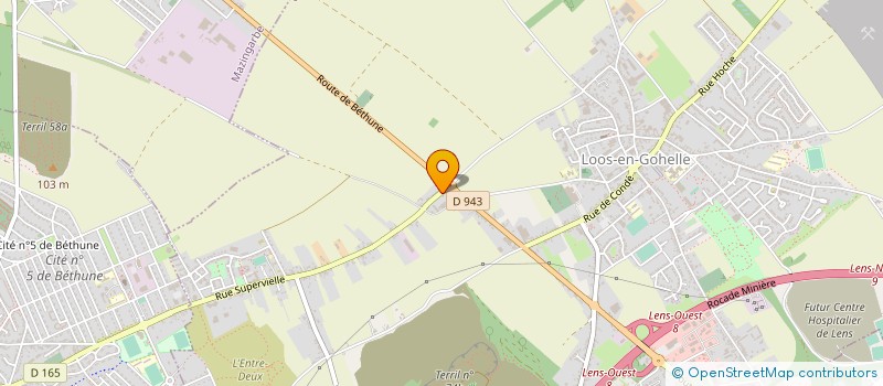 localisation de l'entreprise MONSIEUR LESTER GUILLEUX  LOOS-EN-GOHELLE