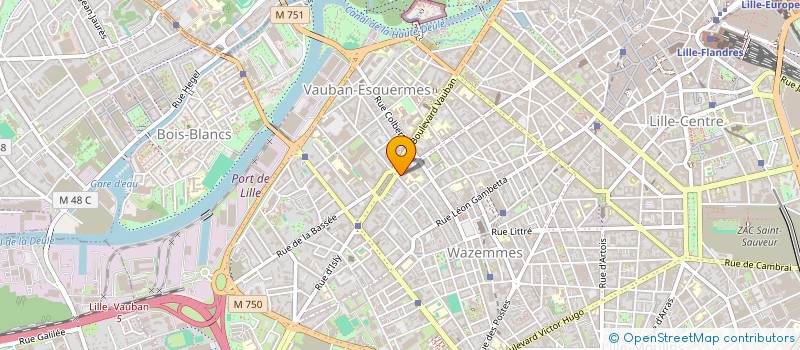 localisation de l'entreprise MONSIEUR LESTIENNE STELIO  LILLE