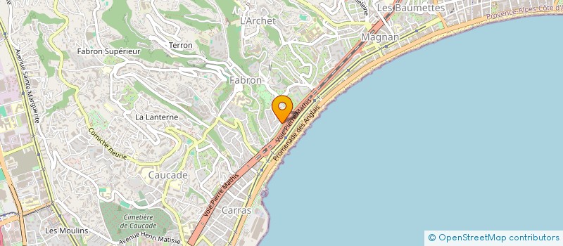 localisation de l'entreprise MONSIEUR LEVENSON JEAN-LOUIS à NICE