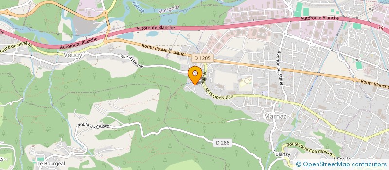 localisation de l'entreprise MONSIEUR LEVENT KIZILCELIK  MARNAZ