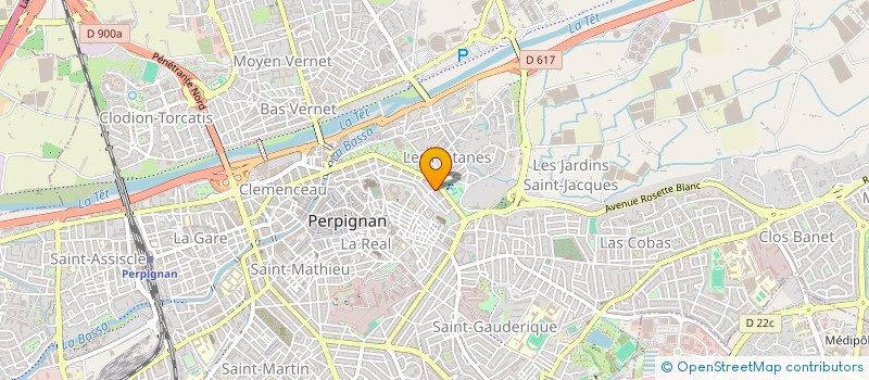 localisation de l'entreprise MONSIEUR LEVY NGAM A ZIEM  PERPIGNAN