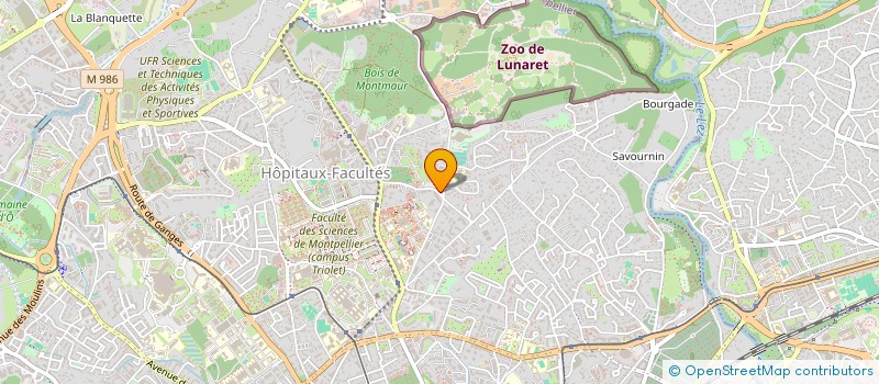 localisation de l'entreprise MONSIEUR LHOUSSAINE BEN SAID à MONTPELLIER