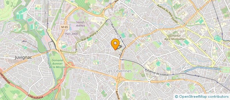 localisation de l'entreprise MONSIEUR LHOUSSEIN AIT LAHCEN EL AASRI à MONTPELLIER