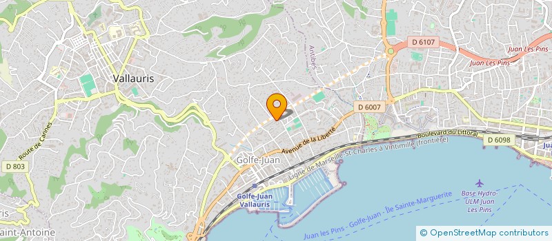 localisation de l'entreprise MONSIEUR LIAM BALDASSARE  VALLAURIS