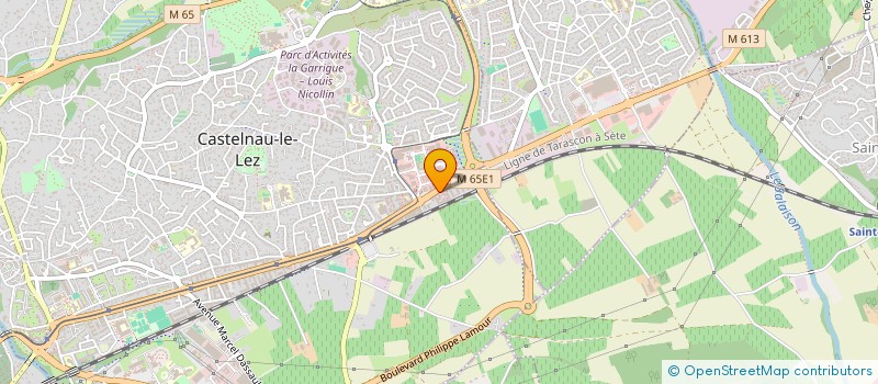 localisation de l'entreprise MONSIEUR LIAM MACFARLANE à CASTELNAU-LE-LEZ