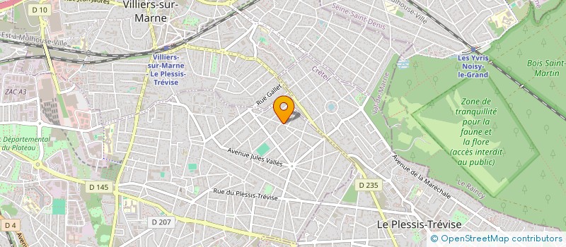 localisation de l'entreprise MONSIEUR LILIAN AFTINESCU à CHAMPIGNY-SUR-MARNE