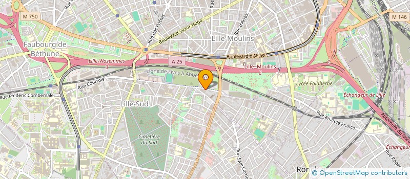 localisation de l'entreprise MONSIEUR LIMELI NAMBOU à LILLE