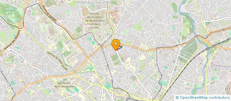 localisation de l'entreprise MONSIEUR LINO CHESNEL à MONTPELLIER