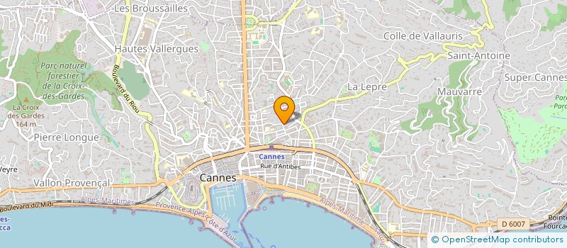 localisation de l'entreprise MONSIEUR LIONEL AILLOT à MANDELIEU-LA-NAPOULE