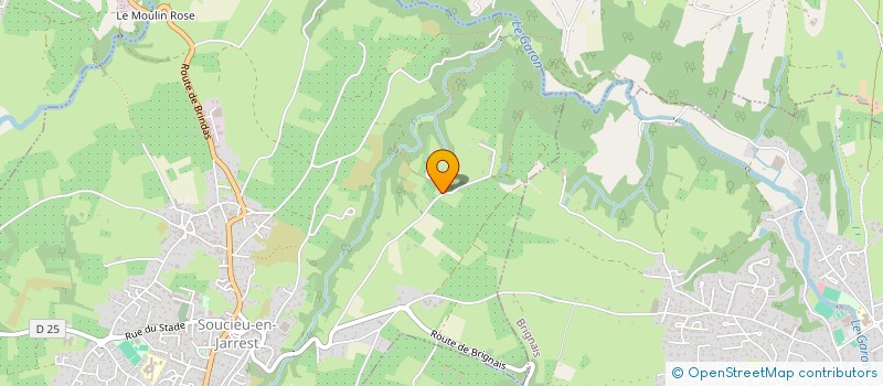 localisation de l'entreprise MONSIEUR LIONEL AVEDISSIAN  SOUCIEU-EN-JARREST