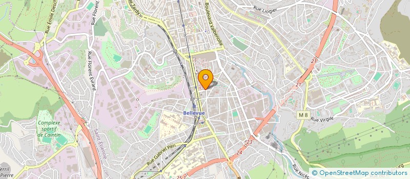 localisation de l'entreprise MONSIEUR LIONEL BERTHON  SAINT-ETIENNE