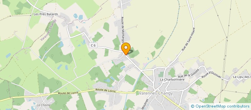localisation de l'entreprise MONSIEUR LIONEL BLANCHET  VARENNES-CHANGY