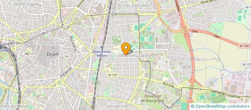 localisation de l'entreprise MONSIEUR LIONEL DALOZ à DIJON