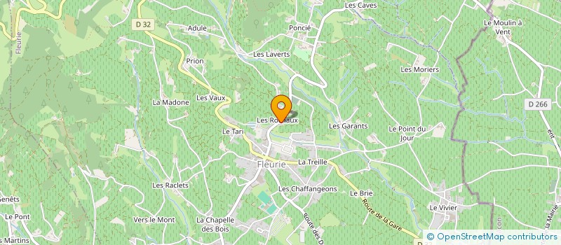 localisation de l'entreprise MONSIEUR LIONEL DESPRES à FLEURIE