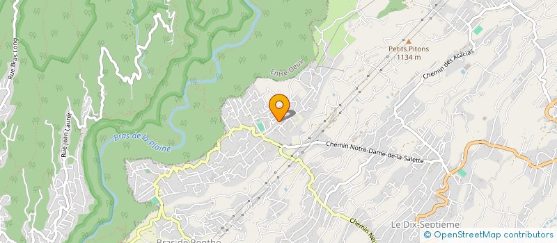 localisation de l'entreprise MONSIEUR LIONEL DOMITILE  LE TAMPON