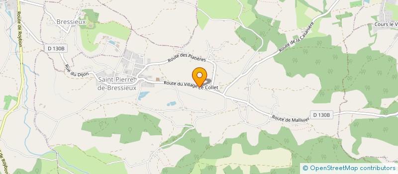 localisation de l'entreprise MONSIEUR LIONEL FONTAINE  SAINT-PIERRE-DE-BRESSIEUX