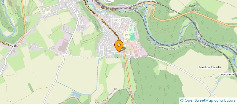 localisation de l'entreprise MONSIEUR LIONEL FRANZINA  LONGUYON