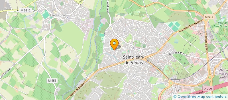 localisation de l'entreprise MONSIEUR LIONEL GIROUD  SAINT-JEAN-DE-VEDAS