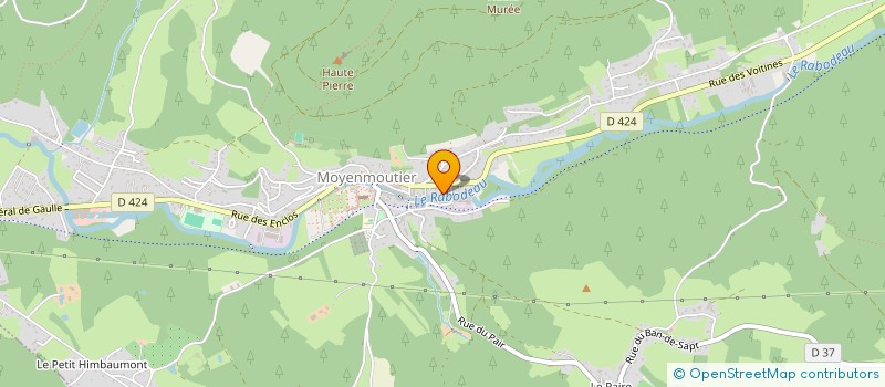 localisation de l'entreprise MONSIEUR LIONEL GUERCI  MOYENMOUTIER