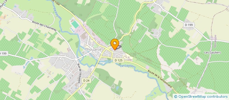 localisation de l'entreprise MONSIEUR LIONEL HAMELIN  BELLEVIGNE-EN-LAYON