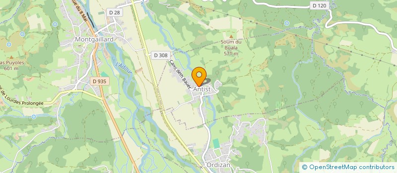 localisation de l'entreprise MONSIEUR LIONEL LALANNE  ANTIST