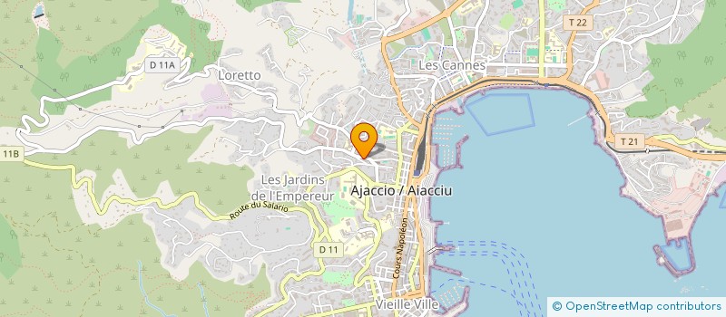 localisation de l'entreprise MONSIEUR LIONEL LEBOUGRE à AJACCIO