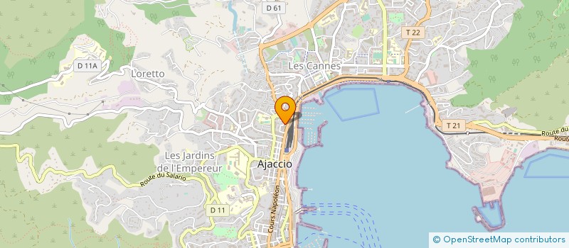 localisation de l'entreprise MONSIEUR LIONEL POZZO DI BORGO à AJACCIO