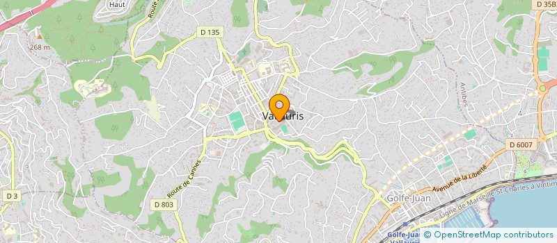 localisation de l'entreprise MONSIEUR LIONEL RINGEVAL à VALLAURIS
