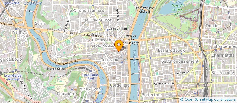 localisation de l'entreprise MONSIEUR LIONEL ROQUES à LYON