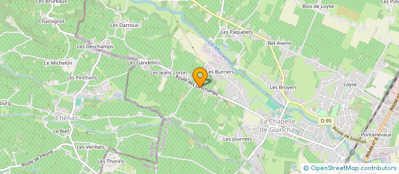 localisation de l'entreprise MONSIEUR LIONEL SYNAKOWSKI  LA CHAPELLE-DE-GUINCHAY