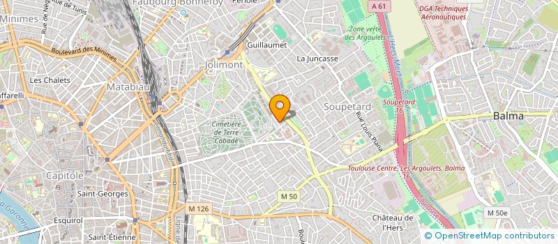 localisation de l'entreprise MONSIEUR LIONEL SZUKICS à TOULOUSE