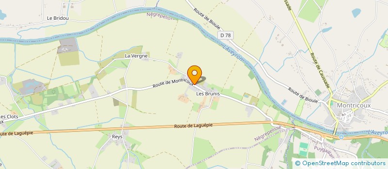 localisation de l'entreprise MONSIEUR LIONEL TURLAIS  NEGREPELISSE