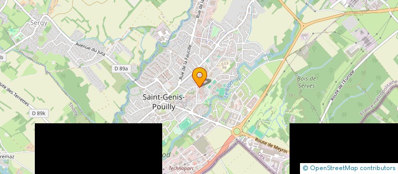 localisation de l'entreprise MONSIEUR LIONEL VUILLEMIN à SAINT-GENIS-POUILLY